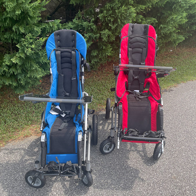 Silla de paseo adaptable